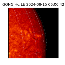 gong - 2024-08-15T06:00:42