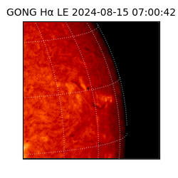 gong - 2024-08-15T07:00:42