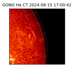 gong - 2024-08-15T17:00:42