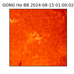 gong - 2024-08-15T01:00:02