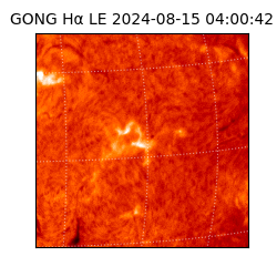 gong - 2024-08-15T04:00:42