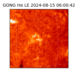 gong - 2024-08-15T06:00:42
