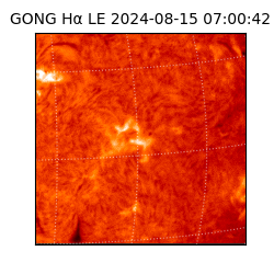 gong - 2024-08-15T07:00:42