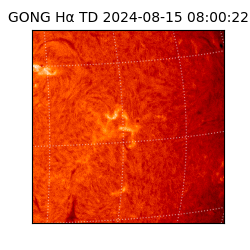 gong - 2024-08-15T08:00:22