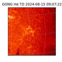 gong - 2024-08-15T09:07:22
