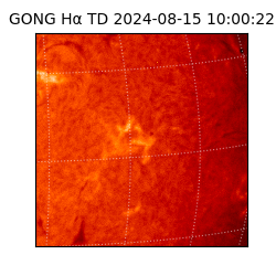 gong - 2024-08-15T10:00:22