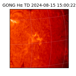 gong - 2024-08-15T15:00:22