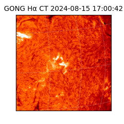 gong - 2024-08-15T17:00:42