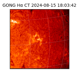 gong - 2024-08-15T18:03:42