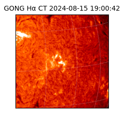 gong - 2024-08-15T19:00:42