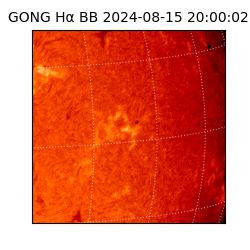 gong - 2024-08-15T20:00:02