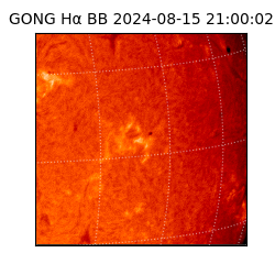 gong - 2024-08-15T21:00:02