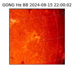 gong - 2024-08-15T22:00:02