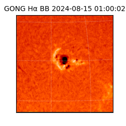 gong - 2024-08-15T01:00:02
