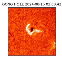 gong - 2024-08-15T02:00:42