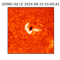 gong - 2024-08-15T03:00:42