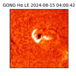 gong - 2024-08-15T04:00:42