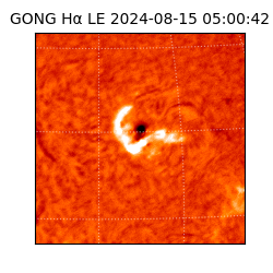 gong - 2024-08-15T05:00:42
