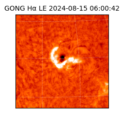 gong - 2024-08-15T06:00:42