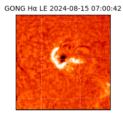 gong - 2024-08-15T07:00:42