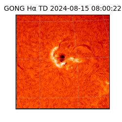 gong - 2024-08-15T08:00:22