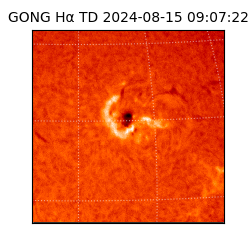 gong - 2024-08-15T09:07:22