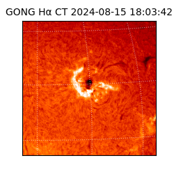 gong - 2024-08-15T18:03:42