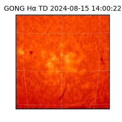 gong - 2024-08-15T14:00:22