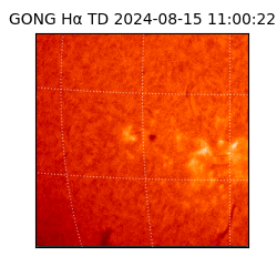 gong - 2024-08-15T11:00:22