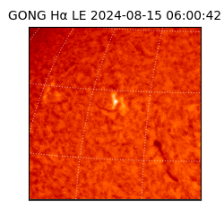 gong - 2024-08-15T06:00:42