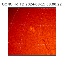 gong - 2024-08-15T08:00:22