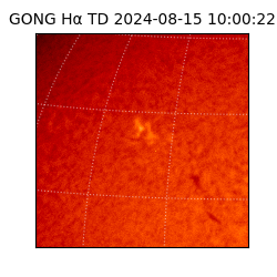 gong - 2024-08-15T10:00:22