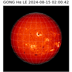 gong - 2024-08-15T02:00:42