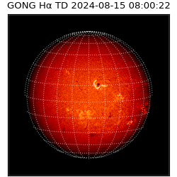 gong - 2024-08-15T08:00:22