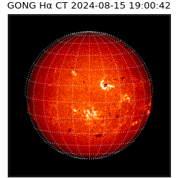 gong - 2024-08-15T19:00:42