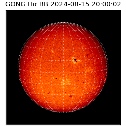 gong - 2024-08-15T20:00:02