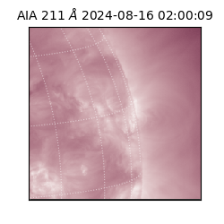saia - 2024-08-16T02:00:09.626000