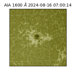 saia - 2024-08-16T07:00:14.132000