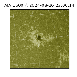 saia - 2024-08-16T23:00:14.129000