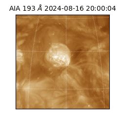 saia - 2024-08-16T20:00:04.843000