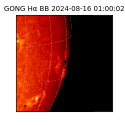 gong - 2024-08-16T01:00:02