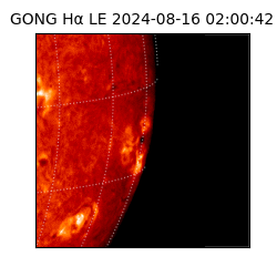 gong - 2024-08-16T02:00:42