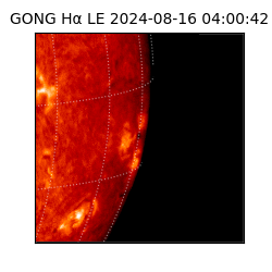gong - 2024-08-16T04:00:42