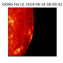 gong - 2024-08-16T06:00:42