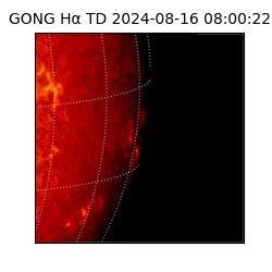 gong - 2024-08-16T08:00:22