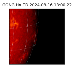 gong - 2024-08-16T13:00:22