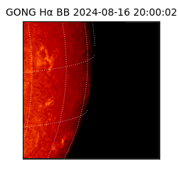 gong - 2024-08-16T20:00:02
