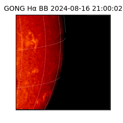 gong - 2024-08-16T21:00:02