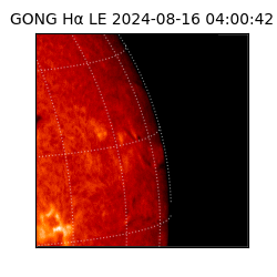 gong - 2024-08-16T04:00:42