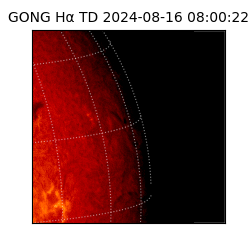 gong - 2024-08-16T08:00:22